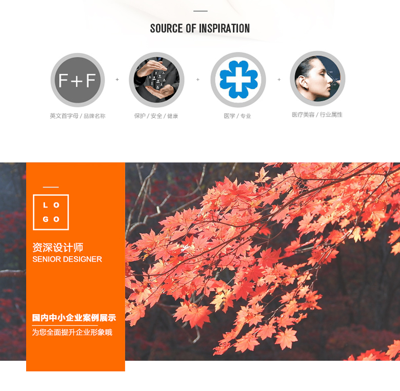 聊城商標(biāo)設(shè)計(jì)公司需要多少錢(qián) 費(fèi)用 商標(biāo)設(shè)計(jì)代辦公司 如何注冊(cè)商標(biāo)